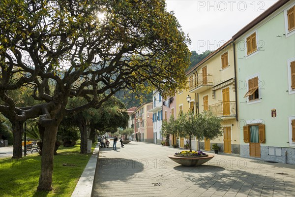 Village with colourful houses by the sea, Rapallo, Italian Riviera, Liguria, Italy, Europe