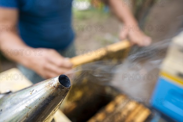 Fantastic beehive producing honey, nature, man and bee, sweet honey, honeycomb, nectar, beekeeping, Poland, Europe