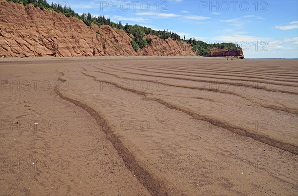 Sandy beach beach at low tide, cliffs, red sandstone, Five Islands Provincial Park, Fundy Bay, Nova Scotia, Canada, North America