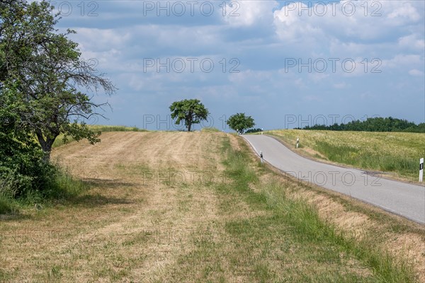 A winding country road leads through a summery landscape with trees and blue skies