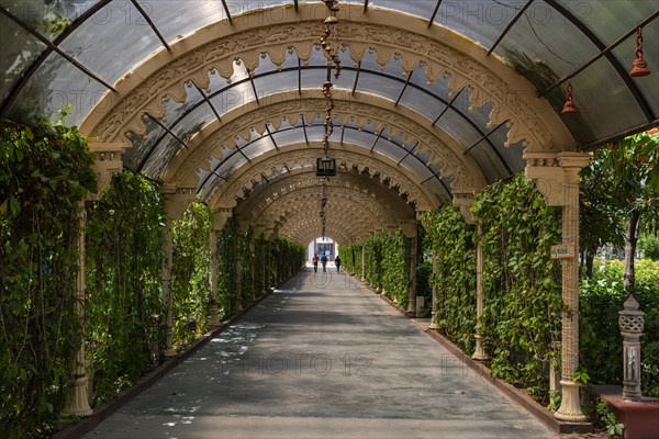 Overgrown pathway, Dharamshala Manilaxmi Tirth Jain temple, Gujarat, India, Asia