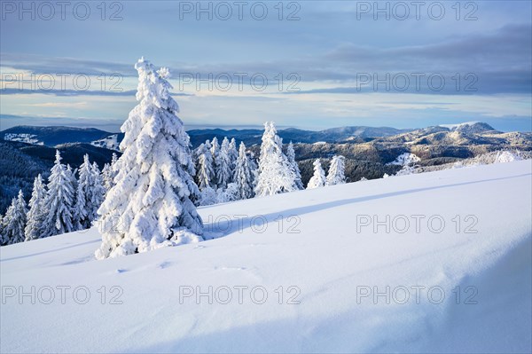 Winter on the Feldberg, Breisgau-Hochschwarzwald district, Baden-Wuerttemberg, Germany, Europe