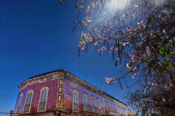 House with azulejo facade, old building, architecture, tiles, craft, traditional, tradition, building, property, tile, architecture, tree, plant, red, pink, colour scheme, decoration, living, old town, old building, city trip, Silves, Algarve, Portugal, Europe