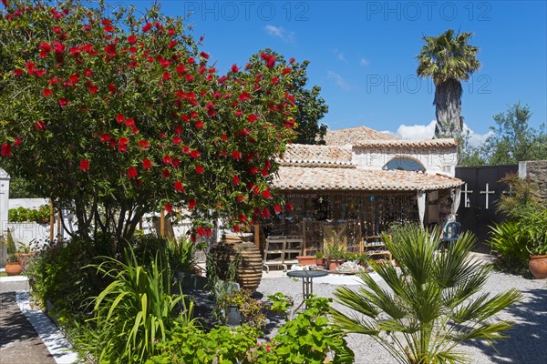 Inviting Mediterranean-style restaurant, surrounded by flowers and palm trees, inner courtyard of the monastery, Holy Monastery of Timi Prodromos, Byzantine fortress, nunnery, Koroni, Pylos-Nestor, Messinia, Peloponnese, Greece, Europe