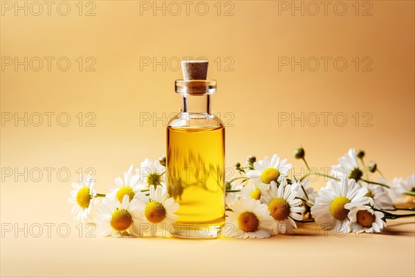 Glass bottle with chamomile essential oil and flowers on yellow studio background. KI generiert, generiert AI generated