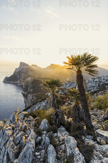 Sunrise, Cape Formentor, Port de Pollenca, Serra de Tramuntana, Majorca, Majorca, Balearic Islands, Spain, Europe