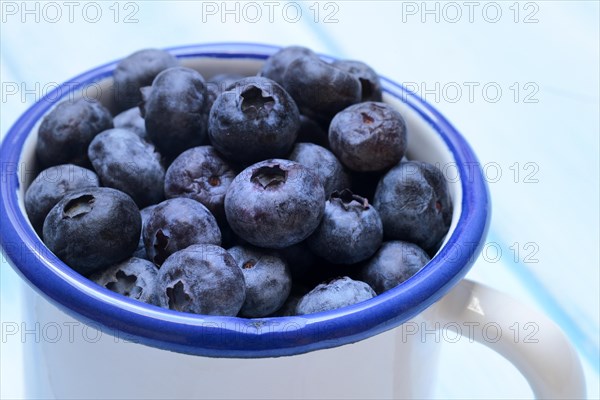 Blueberries in cup, cultivated blueberry