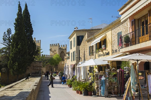 Alcudia, Majorca, Majorca, Balearic Islands, Spain, Europe