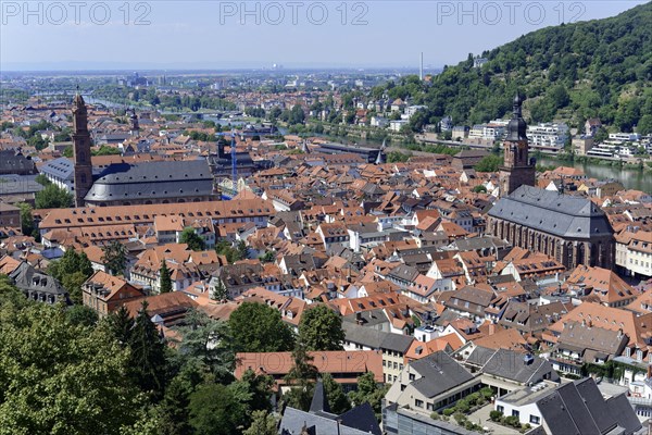 Panoramic view of a town with church towers and a river (Neckar), surrounded by trees, Heidelberg, Baden-Wuerttemberg, Germany, Europe