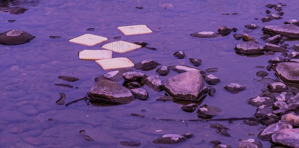 Slices of bread on water surrounded by stones under a purple twilight, in South Korea
