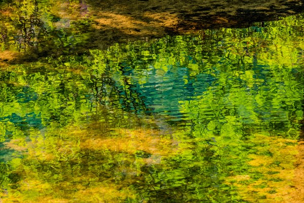 Reflection of a tree and its leaves in a shallow stream on a bright sunny day in South Korea