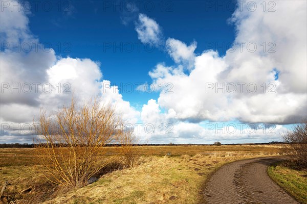 Flumm-Niederung, cloud formations, landscape conservation area, Grossefehn, East Frisia, Germany, Europe