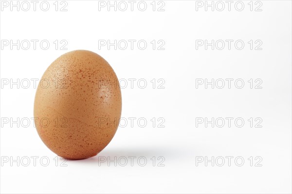 Fresh chicken egg standing upright isolated on white background