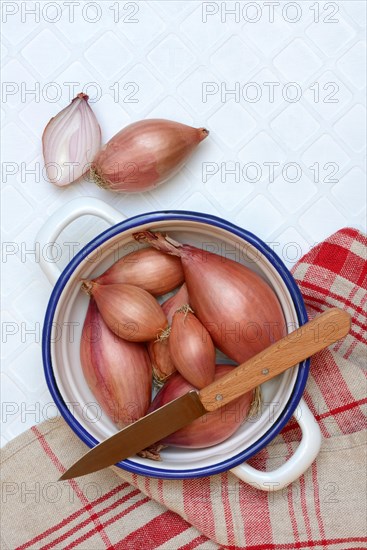 Shallots in peel, Allium cepa