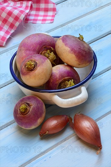 Purple turnips in pots and shallots, Brassica rapa