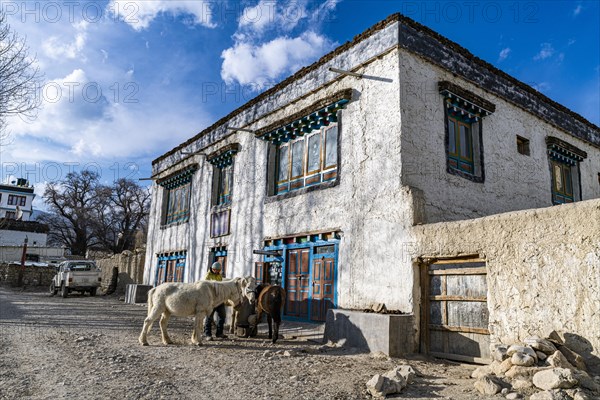 Tibetan houses in Lo Manthang, capital of the Kingdom of Mustang, Nepal, Asia