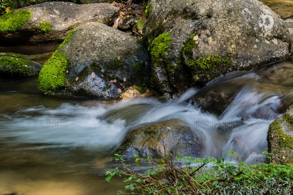 Small water fall cascading down rocks in the middle of a small mountain stream in Guam