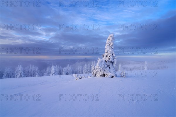 Winter on the Feldberg, Breisgau-Hochschwarzwald district, Baden-Wuerttemberg, Germany, Europe