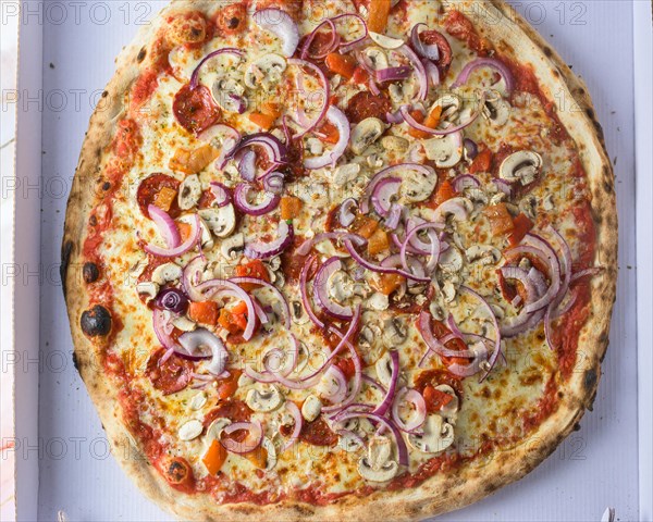 Supreme Pizza Fresh with tomatoes, cheese and mushrooms on wooden table closeup, pizza