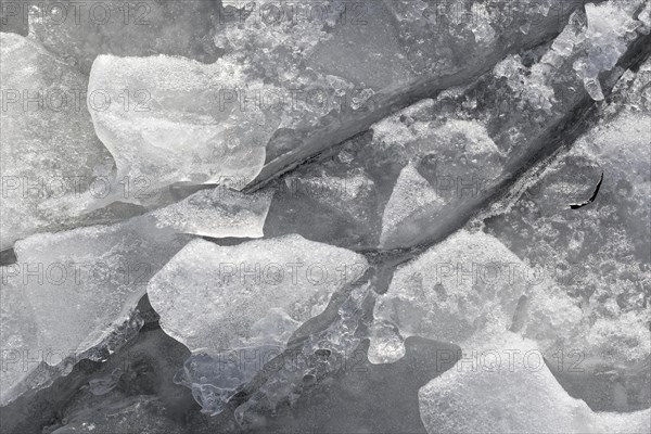 Winter riverscape, ice structures, detail, Saint Lawrence River, Province of Quebec, Canada, North America