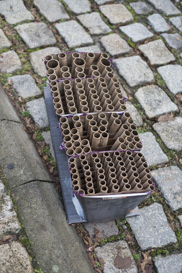 Burnt-out fireworks, New Year's Eve, street, rubbish, Lueneburg, Lower Saxony, Germany, Europe