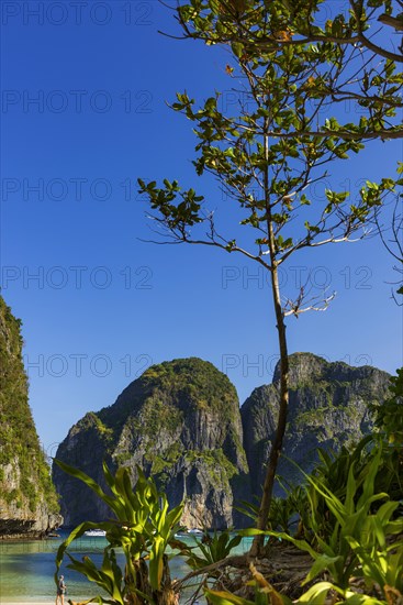 Maya Bay on Ko Phi Phi Don, beach, holiday, beach holiday, holiday paradise, paradise, tourism, dream beach, sea, bay, beach holiday, coast, tropical, tropics, idyllic, island, mountains, limestone, limestone rocks, beach landscape, landscape, nature, Ko Phi Phi, Thailand, Asia