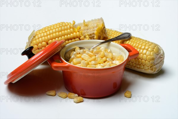 Fresh maize kernels in pots and cobs, corn (Zea mays)