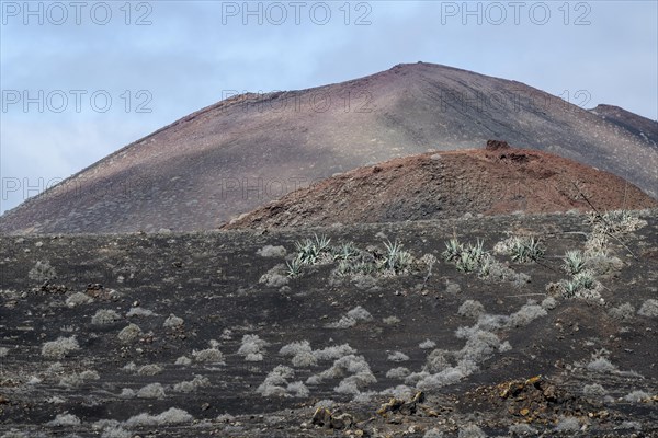 Volcanic landscape, Lanzarote, Canary Islands, Spain, Europe