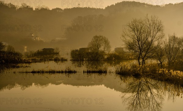 Misty golden hour scene over a lake with tree reflections, in South Korea