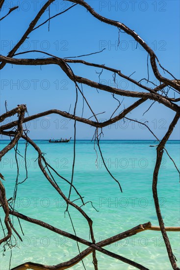 Andaman Sea photographed with longtail boat through branches, turquoise, clear water, travel, holiday, exotic, beach holiday, environment, sun, sunny, summer, symbol, symbolic, Thailand, Asia