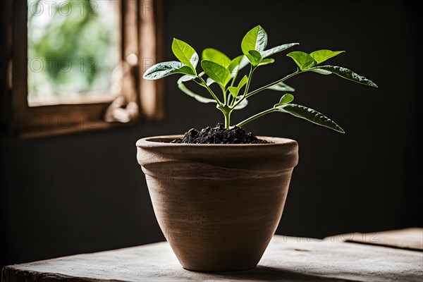 A cracked clay pot holding a flourishing plant symbolizing resilience and growth amidst imperfection, AI generated