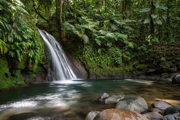 Pure nature, a waterfall with a pool in the forest. The Ecrevisses waterfalls, Cascade aux ecrevisses on Guadeloupe, in the Caribbean. French Antilles, France, Europe