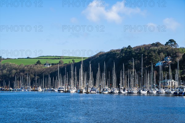 Yachts in Darthaven Marina over River Dart, Devon, England, United Kingdom, Europe