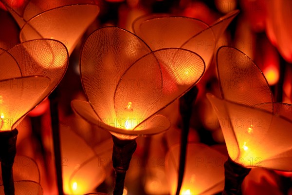 Close-up of delicate flower-shaped lights with translucent petals glowing warmly, Chiang mai, Thailand, Asia
