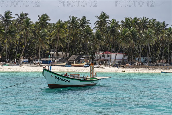 Little boats before a palm fringed white sand beach, Agatti Island, Lakshadweep archipelago, Union territory of India