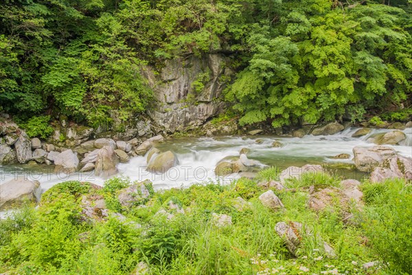 Gentle flowing water through a riverbed with boulders and lush greenery, in South Korea