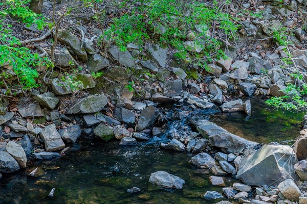 A serene stream flows through a rocky bed in a forest, in South Korea