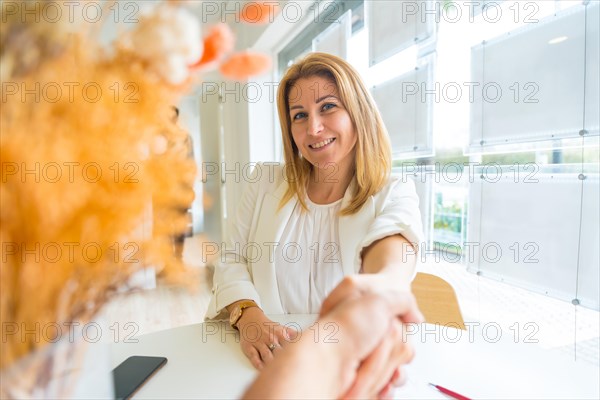 Close-up of a charming real estate agent and unrecognizable client shaking hands in the office