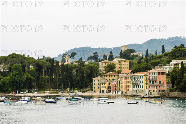 Village with colourful houses by the sea, San Michele di Pagana, Rapallo, Italian Riviera, Liguria, Italy, Europe