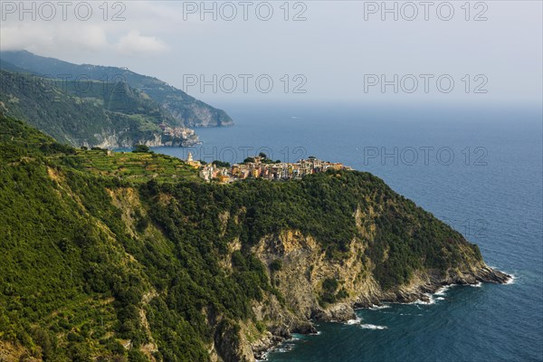 Village with colourful houses by the sea, Corniglia, UNESCO World Heritage Site, Cinque Terre, Riviera di Levante, Province of La Spezia, Liguria, Italy, Europe