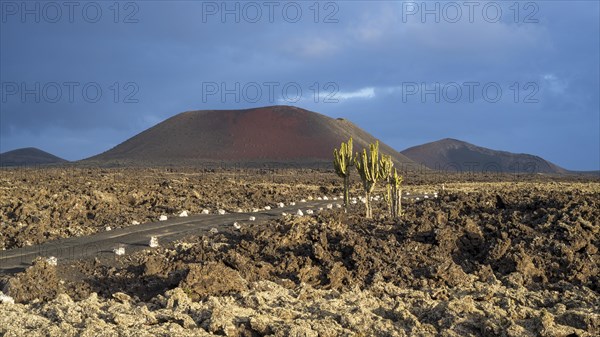 Caldera Colorada, Parque Natural de Los Volcanes, Masdache, Lanzarote, Canary Islands, Spain, Europe