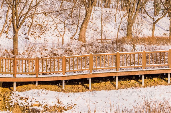 Long wooden walkway bordered with railings covered in snow through a serene winter setting, in South Korea