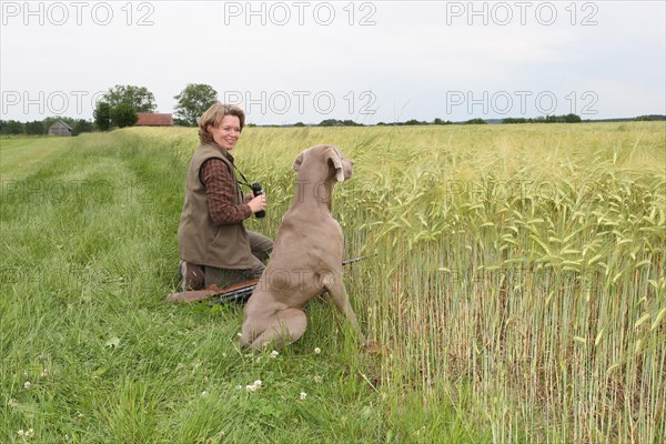 Huntress with rifle and binoculars and hunting dog Weimaraner Shorthair at a cornfield, Allgaeu, Bavaria, Germany, Europe
