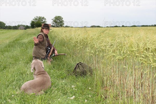 Huntress gives hunting dog Weimaraner Shorthair Down sign at cornfield, Allgaeu, Bavaria, Germany, Europe