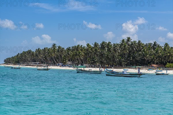 Little boats before a palm fringed white sand beach, Agatti Island, Lakshadweep archipelago, Union territory of India