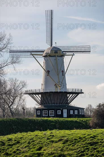Traditional Dutch windmill with blue sky and green grass, Veere, Zeeland, Netherlands