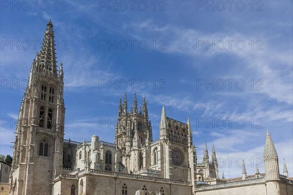 Cathedral of the Virgin Mary, Leon, church, sacred building, building, old town, city centre, historic, Christianity, religion, Gothic, Gothic, building, architecture, UNESCO, World Heritage Site, architectural style, Middle Ages, travel, holiday, tourism, city trip, Burgos, Spain, Europe