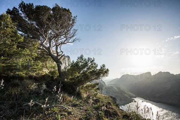 Sunset, Cape Formentor, Port de Pollenca, Serra de Tramuntana, Majorca, Majorca, Balearic Islands, Spain, Europe