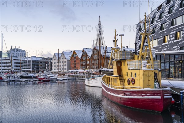 Tromso harbour with ships and buildings, Tromso, Norway, Europe