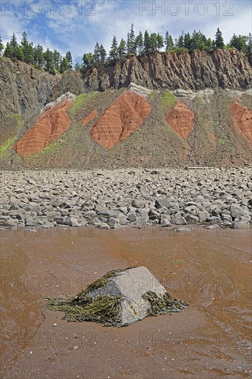 Cliffs, red sandstone, Five Islands Provincial Park, Fundy Bay, Nova Scotia, Canada, North America